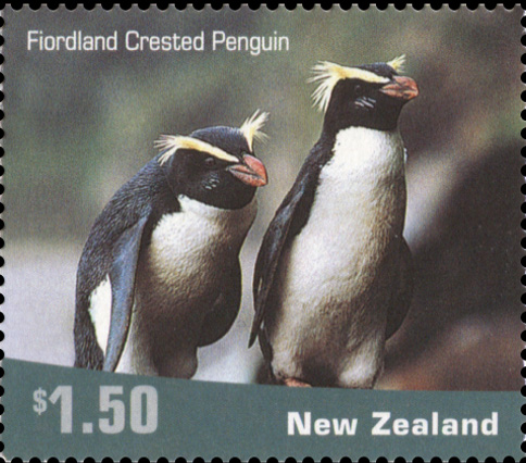 Tawaki, Fiordland crested penguins